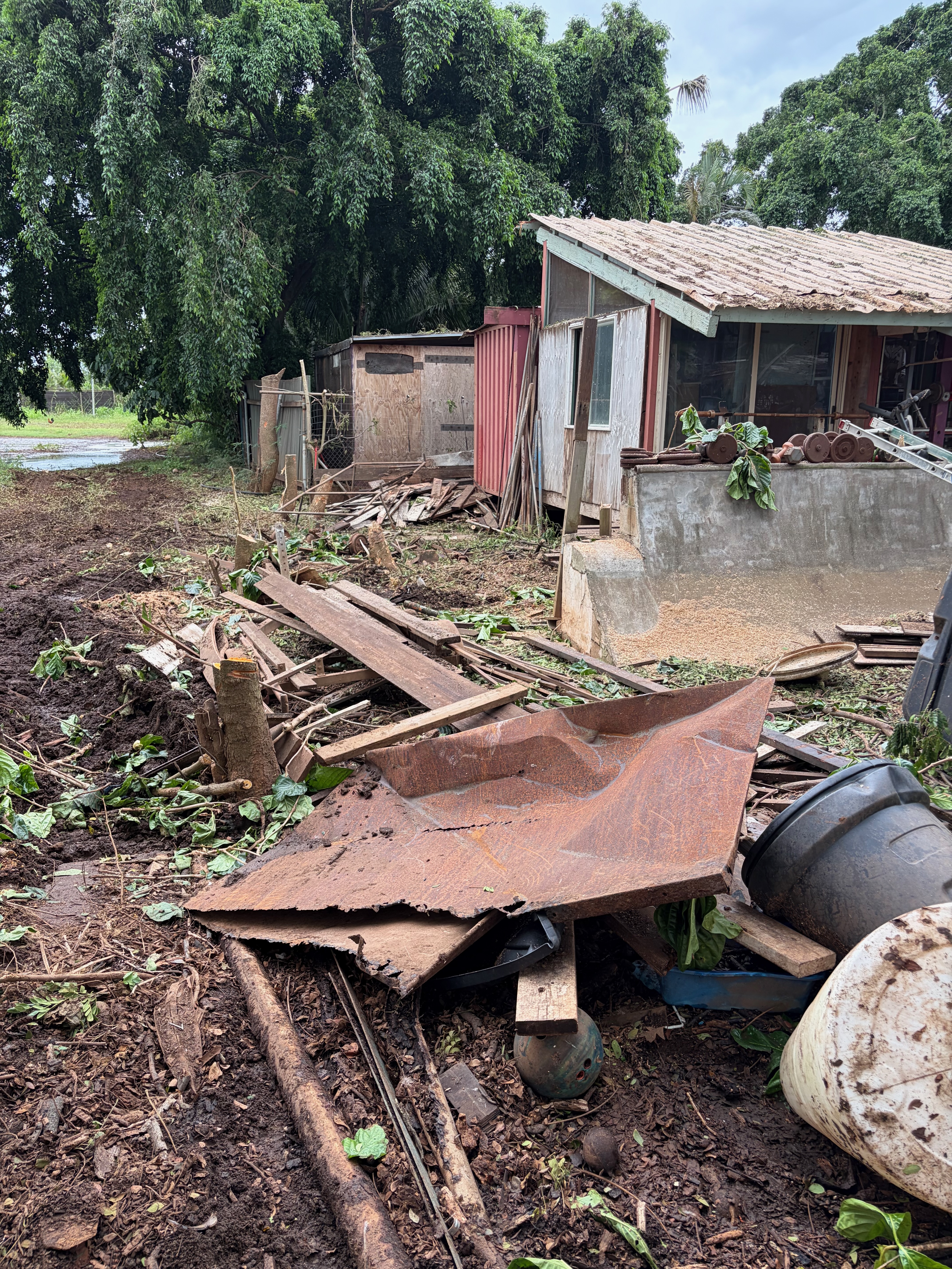 Tree Removal Service 1