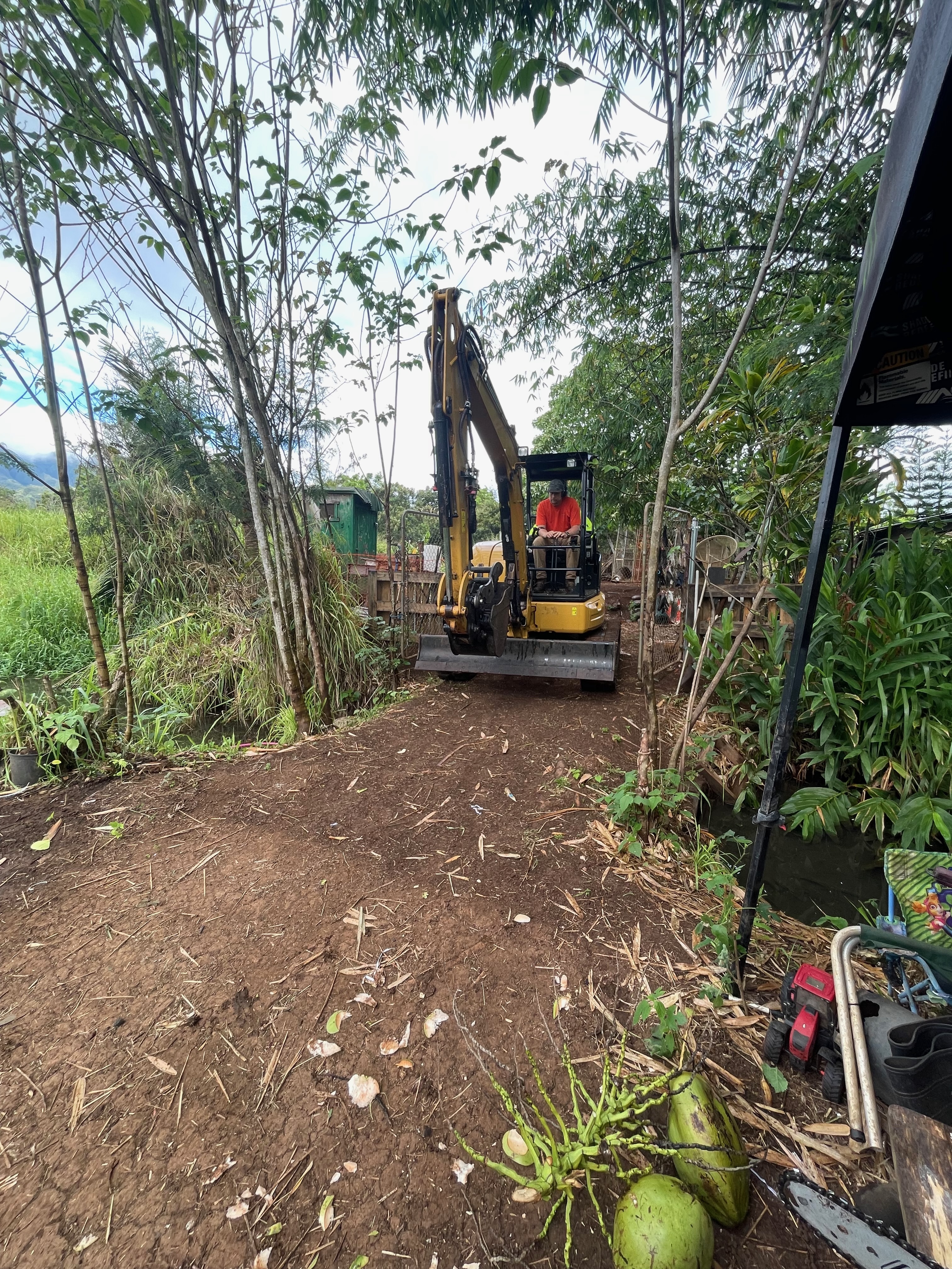 Tree Removal Service 5